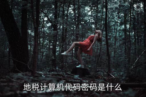 地稅稅務登陸密碼是什么意思，湖北地稅網(wǎng)絡發(fā)票登陸密碼是什么急急急
