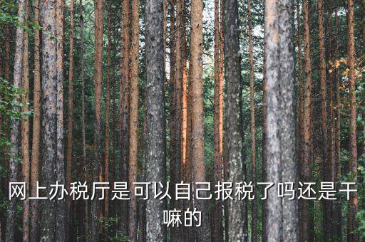 什么是網(wǎng)上辦稅服務(wù)廳，電子申報(bào)管理系統(tǒng)和網(wǎng)上辦稅大廳有什么不同的