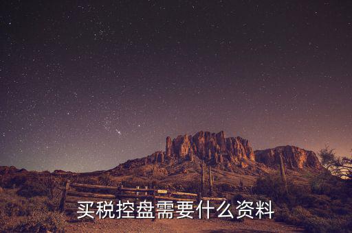 買(mǎi)稅控盤(pán)需要什么資料