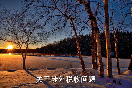 什么是涉外地稅，國際稅務是什么
