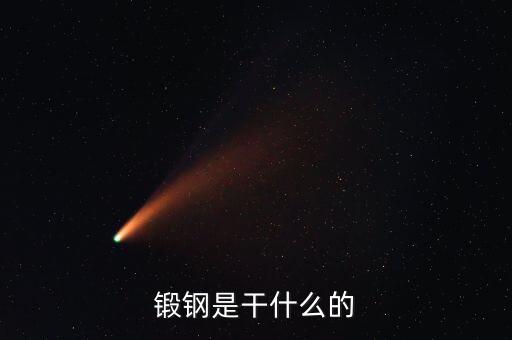 弘遠泰斯是干什么的，飛踏是干什么的
