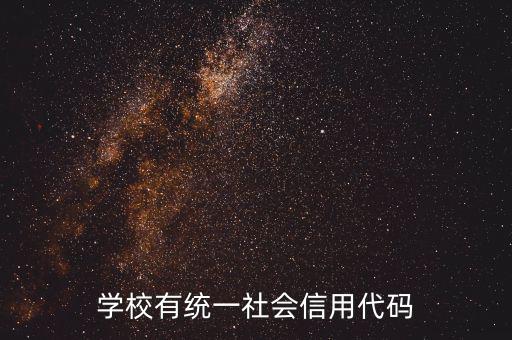 社會(huì)識(shí)別代碼是什么問(wèn)題，社會(huì)信用代碼是不是納稅人識(shí)別號(hào)