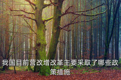 目前營改增政策暫不包括什么，營改增的范圍不包括  A軌道交通運輸 B航空公司出租飛機配