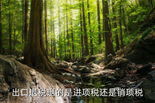 出口退稅退的是什么稅，出口退稅退的是進項稅還是銷項稅