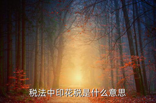 地稅交的5元印花稅是什么意思球鞋，稅法中印花稅是什么意思