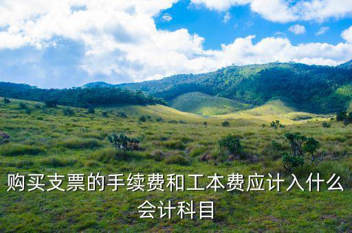 購買支票的手續(xù)費和工本費應(yīng)計入什么會計科目