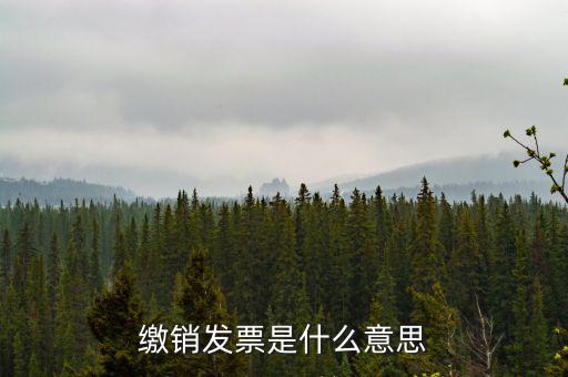繳銷(xiāo)外經(jīng)證局軌是什么意思，在地稅局外管證已經(jīng)繳銷(xiāo)了還能開(kāi)票嗎
