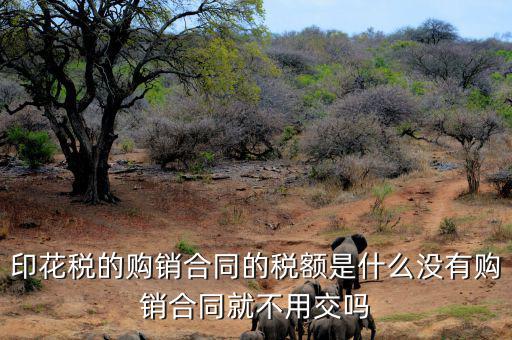 印花稅的購(gòu)銷合同的稅額是什么沒(méi)有購(gòu)銷合同就不用交嗎