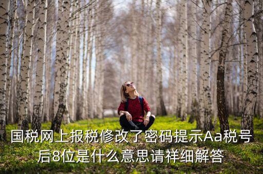 國(guó)稅網(wǎng)上報(bào)稅修改了密碼提示Aa稅號(hào)后8位是什么意思請(qǐng)祥細(xì)解答