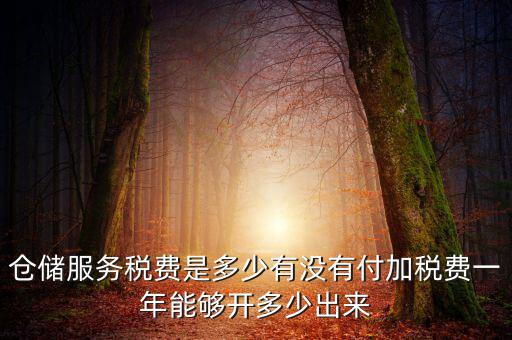 倉儲服務稅費是多少有沒有付加稅費一年能夠開多少出來