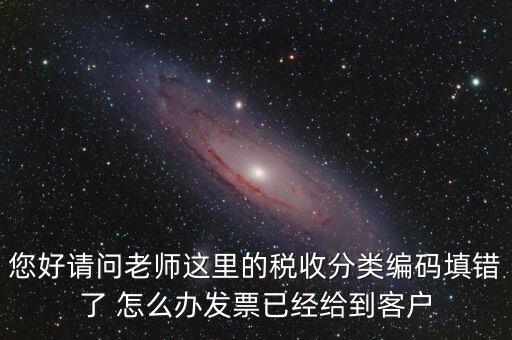 稅收分類編碼錯誤的是什么，汽車導航儀稅收分類編碼是什么