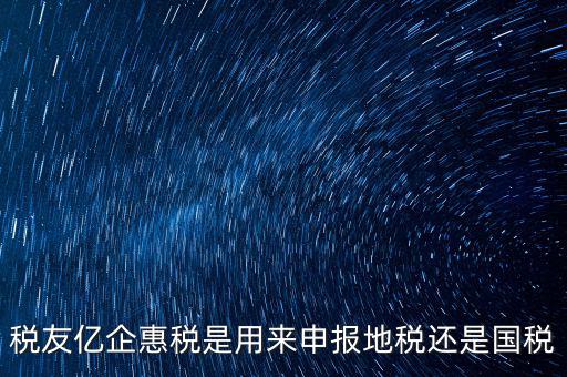 稅友報稅的是什么，稅友億企惠稅是用來申報地稅還是國稅