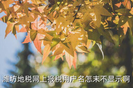 山東濰坊報(bào)稅平臺(tái)帳號(hào)是什么，地稅申報(bào)的用戶名和密碼是什么