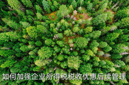 如何加強企業(yè)所得稅稅收優(yōu)惠后續(xù)管理