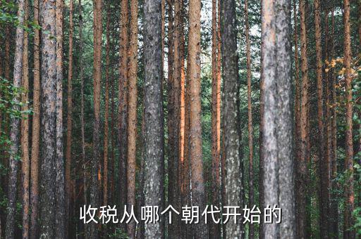 什么時候開始有稅收，稅是從什么時候開始的