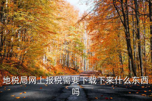 辦地稅都需要什么軟件，地稅網(wǎng)上申報軟件