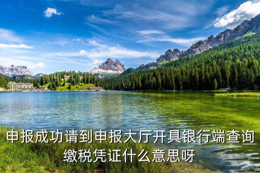 銀行端查詢繳稅憑證蓋什么章，銀行端查詢繳款憑證工會蓋什么章