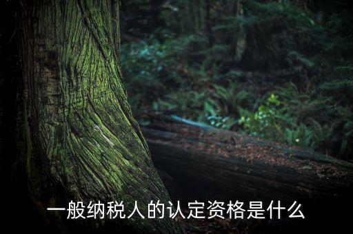 一般納稅人資格證是什么，請問一般納稅人應(yīng)有什么證