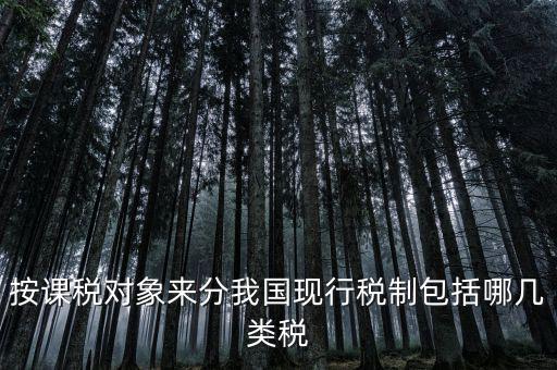 什么是現(xiàn)行稅收制度，說明中國現(xiàn)行稅制增值稅的具體稅制要素有哪些