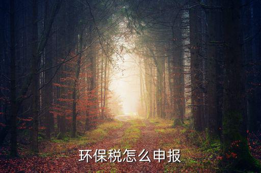 環(huán)境保護(hù)稅按什么申報，環(huán)保稅怎么申報