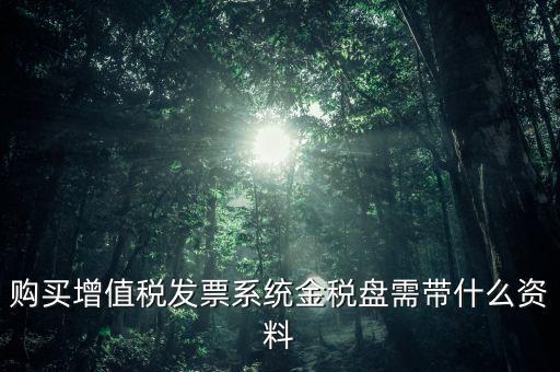 購買金稅盤要什么資料，購買增值稅發(fā)票系統(tǒng)金稅盤需帶什么資料