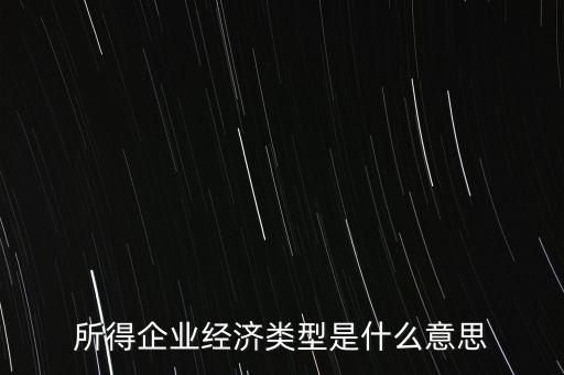 所得項目是什么意思，所得企業(yè)經(jīng)濟類型是什么意思