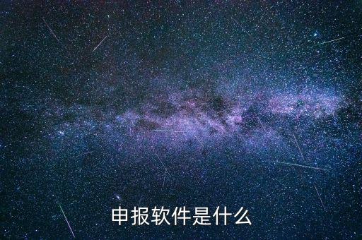 國(guó)稅申報(bào)軟件叫什么，申報(bào)軟件是什么