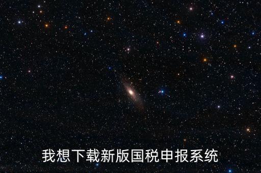 新疆國稅報稅什么系統(tǒng)下載，我想下載新版國稅申報系統(tǒng)