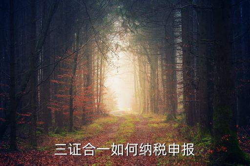 三證合一用什么報(bào)稅，三證合一如何納稅申報(bào)