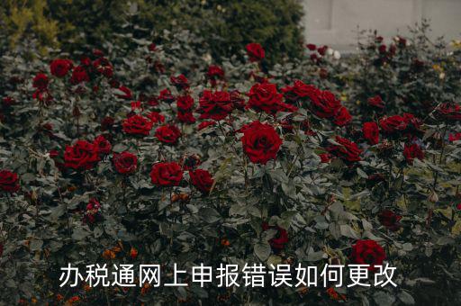 更改辦稅人什么網(wǎng)站，國(guó)稅變更財(cái)務(wù)人員在哪里變更稅控盤上可以更改嗎