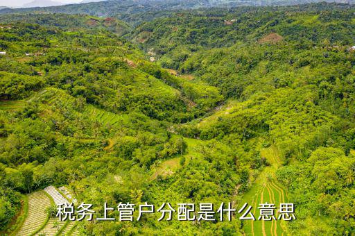 稅務上管戶分配是什么意思