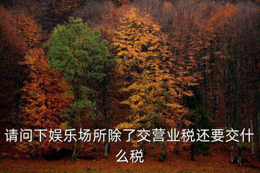 娛樂(lè)業(yè)交什么稅，請(qǐng)問(wèn)下娛樂(lè)場(chǎng)所除了交營(yíng)業(yè)稅還要交什么稅