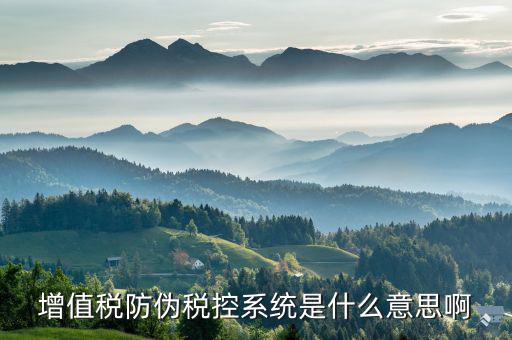 防偽稅控盤是什么，什么是防偽稅控系統(tǒng)金稅請解釋詳細明白點