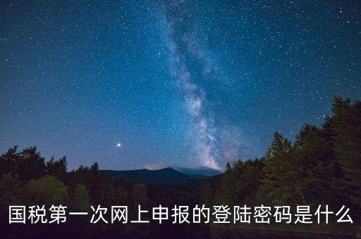 國稅登錄賬號密碼是什么意思，國稅第一次網(wǎng)上申報的登陸密碼是什么