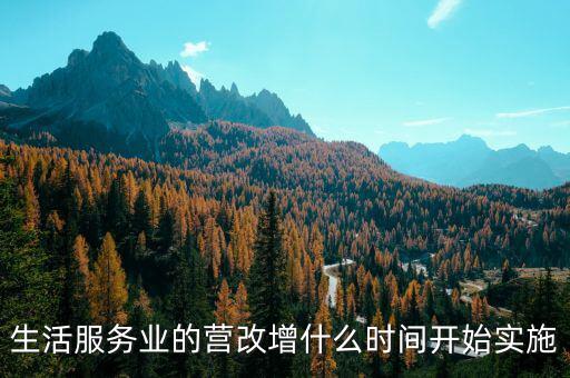 生活服務(wù)業(yè)的營(yíng)改增什么時(shí)間開(kāi)始實(shí)施