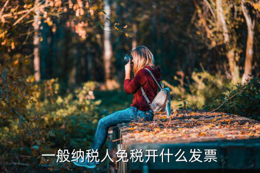 一般納稅人領(lǐng)什么票，一般納稅人免稅開什么發(fā)票