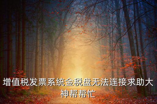 為什么金稅盤連接不上，金稅盤直接進(jìn)不去怎么回事啊