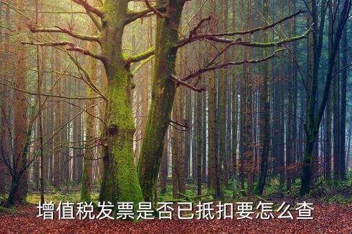 進(jìn)項(xiàng)抵扣發(fā)票什么查，增值稅發(fā)票是否已抵扣要怎么查
