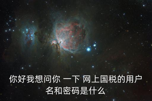 稅號(hào)和密碼是什么，國(guó)稅第一次網(wǎng)上申報(bào)的登陸密碼是什么