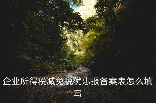 什么是稅收優(yōu)惠備案表，企業(yè)所得稅優(yōu)惠備案表填寫急