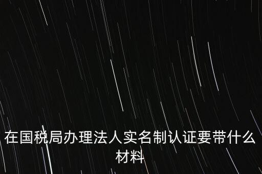 在國稅局辦理法人實名制認證要帶什么材料