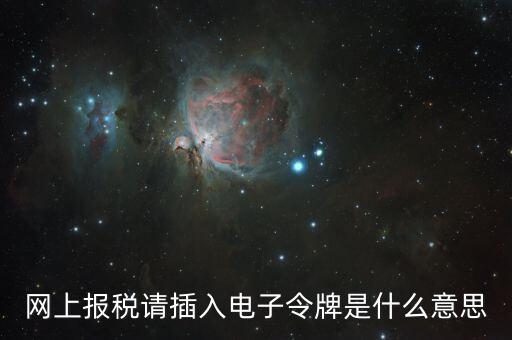 報稅數(shù)字證書口令是什么意思，網(wǎng)上報稅請插入電子令牌是什么意思