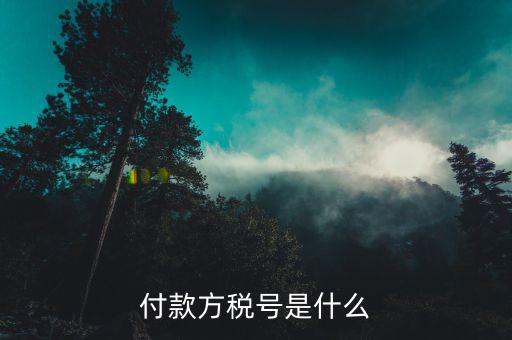 稅務(wù)所號(hào)是什么，繳稅賬號(hào)類(lèi)型是什么