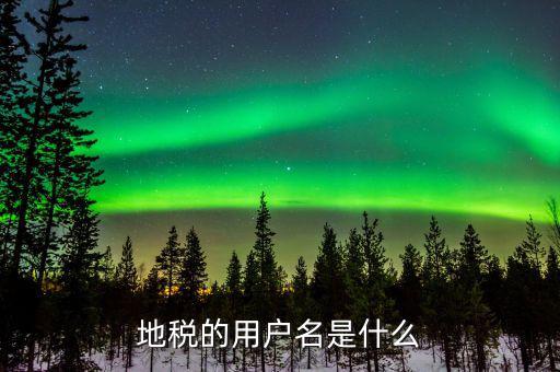 地稅的用戶(hù)名是什么