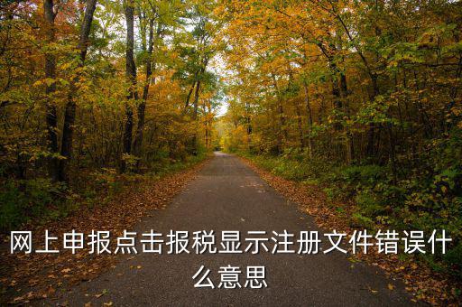 網(wǎng)上申報(bào)點(diǎn)擊報(bào)稅顯示注冊文件錯誤什么意思