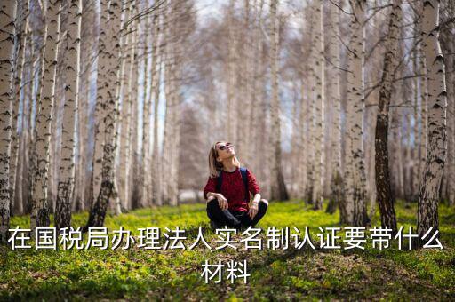 實(shí)名認(rèn)證稅務(wù)需要什么資料，在國(guó)稅局辦理法人實(shí)名制認(rèn)證要帶什么材料