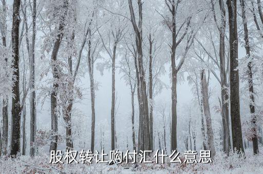 什么是售付匯，股權(quán)轉(zhuǎn)讓購(gòu)付匯什么意思