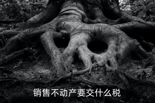 出售不動(dòng)產(chǎn) 交什么稅，銷售不動(dòng)產(chǎn)要交什么稅