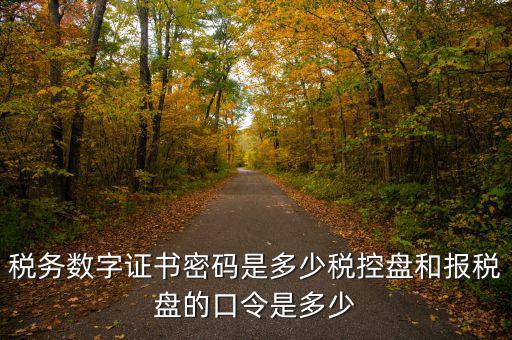 寧波國(guó)稅ca密碼是什么，寧波市電子稅務(wù)局登陸密碼