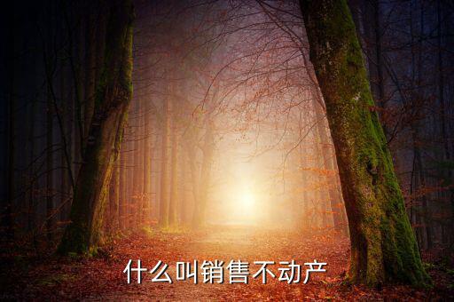銷售不動(dòng)產(chǎn)構(gòu)筑物是什么，計(jì)算交納稅金時(shí)企業(yè)銷售房屋建筑物等不動(dòng)產(chǎn)按照稅法的有關(guān)